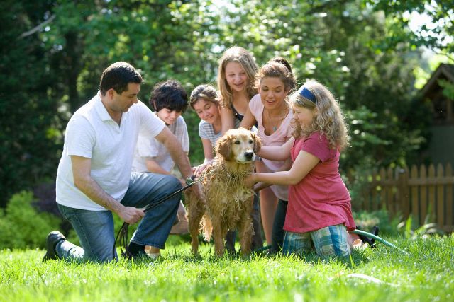 A family with children laughing and washing a golden retriever together on a sunny lawn | Pathway Caring for Children